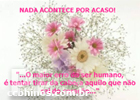 Nada acontece por acaso