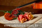 433 - Violino