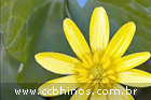 Hinos CCB 392 Cantado pelo Ir: Florindo